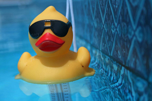 "Rubber Duckie, You're the One", by Daniel Rothamel, CC-BY 2.0